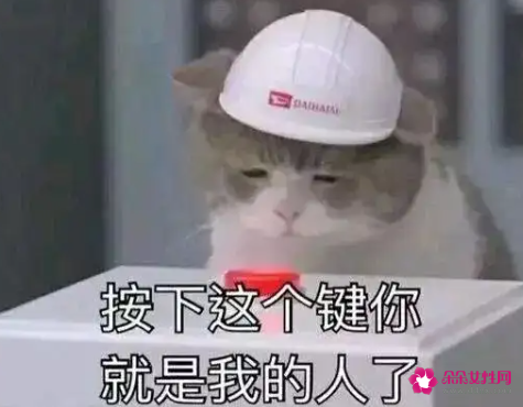 给女朋友的套路情话