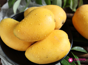 芒果怎么催熟呢