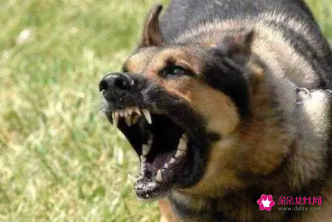 做梦梦到自己被狗咬