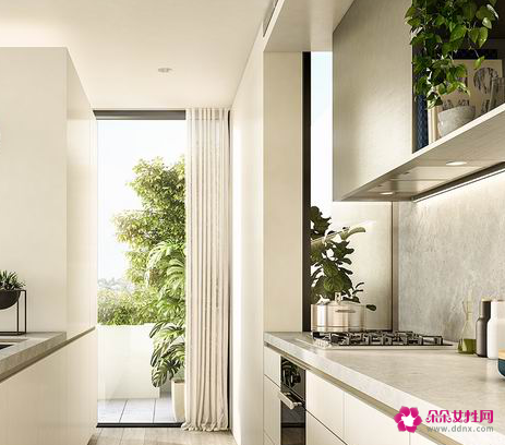 厨房放植物风水好吗