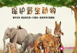 大学生保护野生动物活动方案