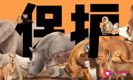 动物保护主题题目