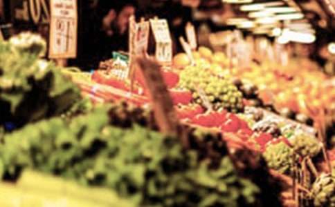 金毛犬的市场价格