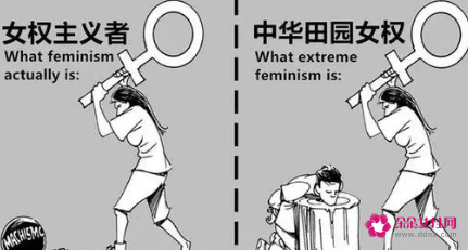 中华田园女权什么意思