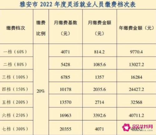 雅安灵活就业社保补贴