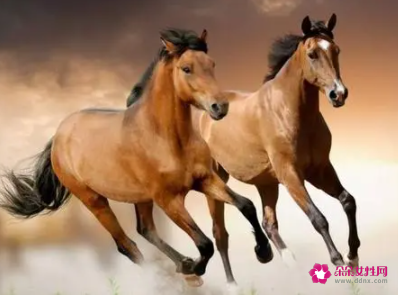 属马的人床头朝向