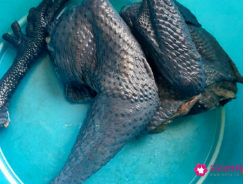 赤松茸汤怎么做好吃