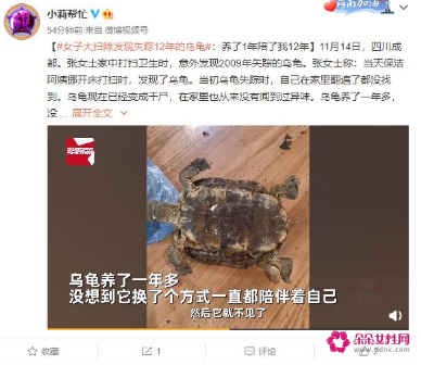 四川一女子大扫除意外发现2009年失踪的乌龟