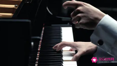 李云迪是做什么的