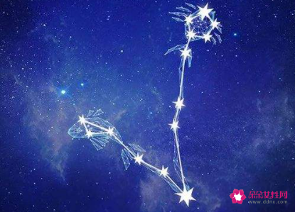 双鱼男没放下你的表现