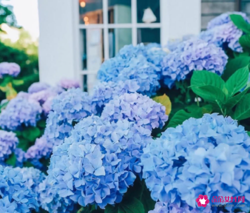 不喜欢失望的感觉