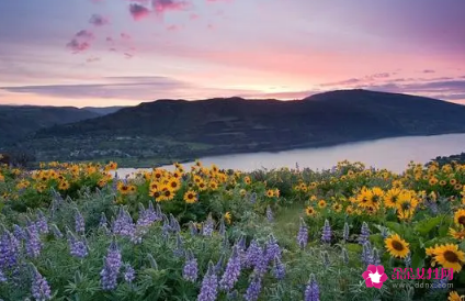 好听容易记住的艺名