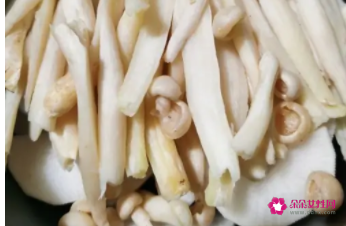 菌菇萝卜汤的做法