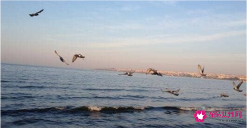 世界上最小的海是什么海