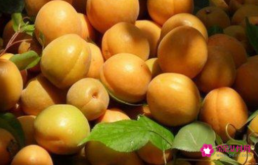 防癌效果最好的水果有哪些