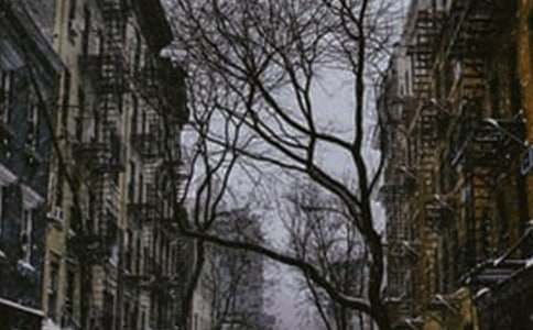 冬天冻不死的庭院花卉