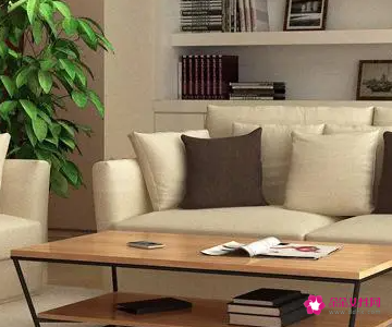 办公室茶几摆放有什么风水讲究