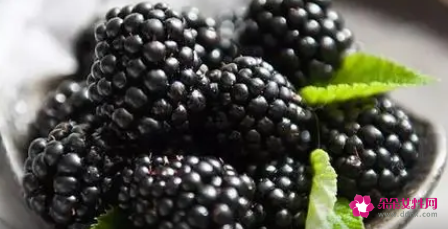 黑莓十大功效