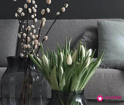 520表白送什么花