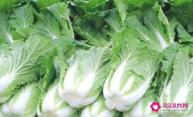 梦见洗白菜有什么征兆