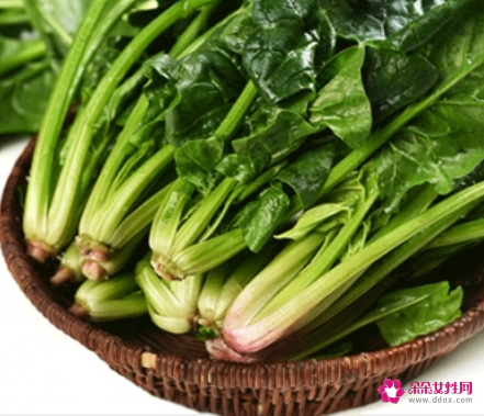 菠菜的功效与作用禁忌和食用方法