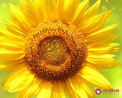 狼性口号霸气押韵8字