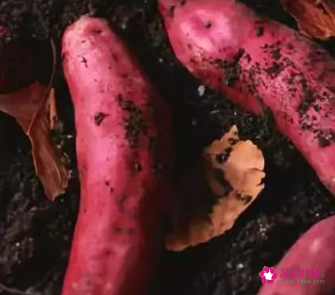 按摩肚子减肥手法图解