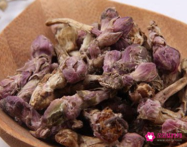 蜜款冬花的功效与作用及禁忌