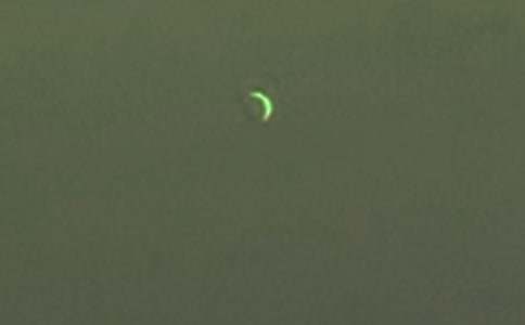 梦见月亮有什么预兆