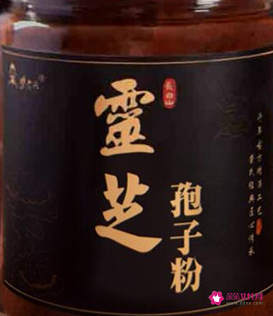 央视辟谣灵芝孢子粉