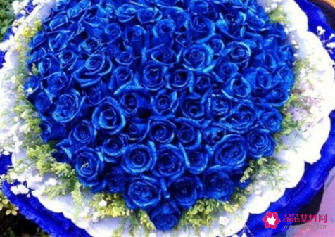 蓝玫瑰花的花语是什么