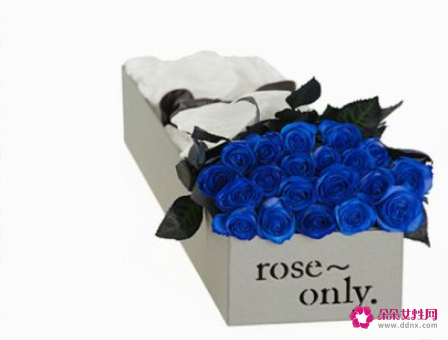 蓝玫瑰花的花语是什么