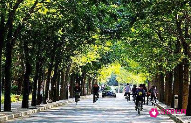 大学生如何选择一个合适的专业