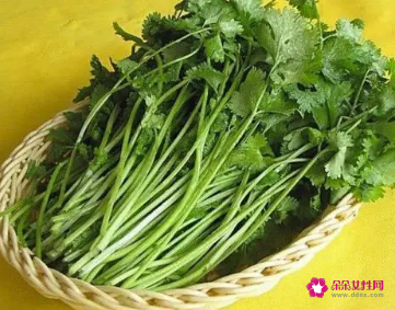 不吃香菜的原因