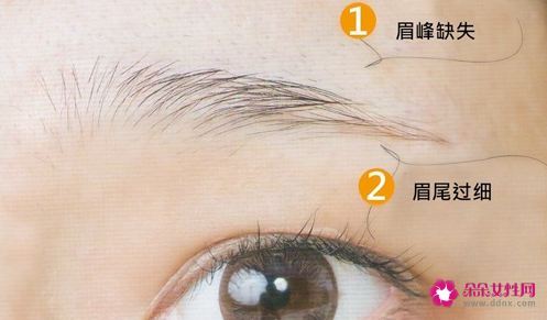 哪种眉型有福气