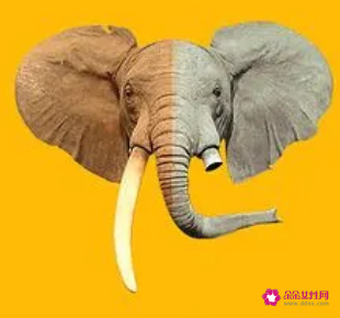 动物保护主题题目