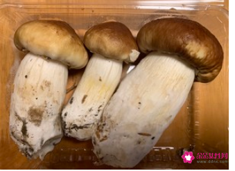 赤松茸汤怎么做好吃