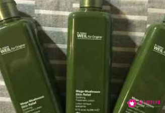 菌菇水可以当日常水吗