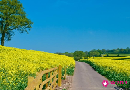 好听容易记住的艺名