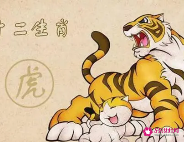 属虎的人婚配属相