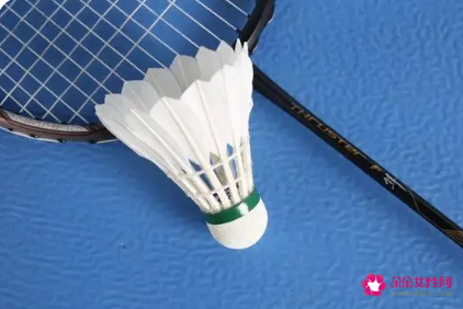 羽毛球打的好的人智商高