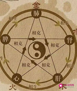 中医五行相生相克