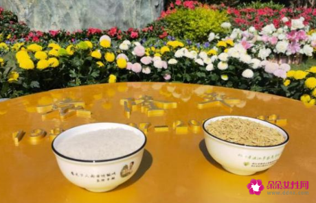 袁隆平安葬仪式上让人破防的细节