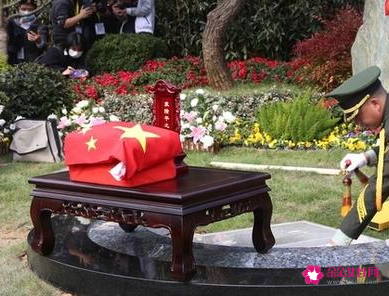 袁隆平安葬仪式上让人破防的细节