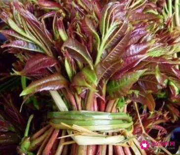 春日美食有哪些