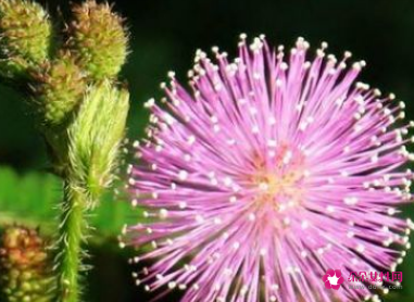 什么东西放在卧室最致癌