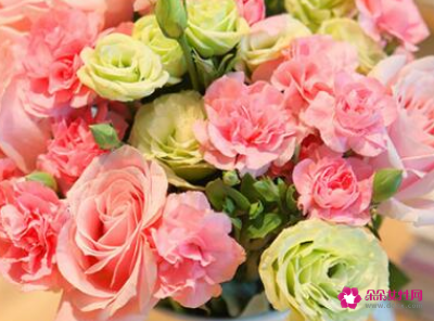 送母亲康乃馨多少朵合适