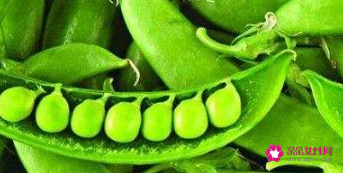 豌豆角的功效与作用