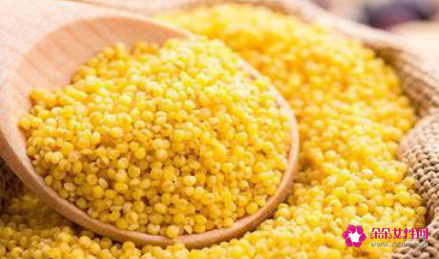 适合减肥期间的主食