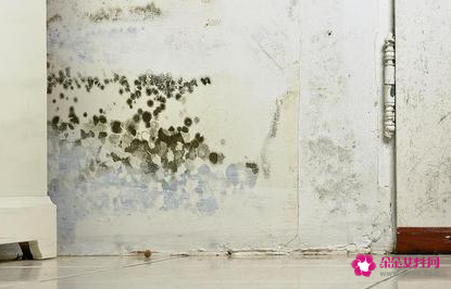 房子墙角潮湿发霉